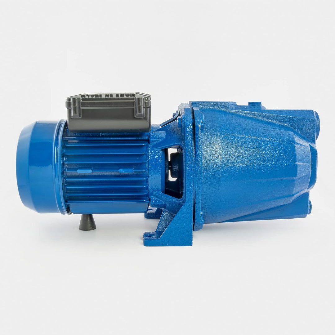 Speroni® Selbstansaugende Elektropumpe CAM 100 V.230 Hz.50