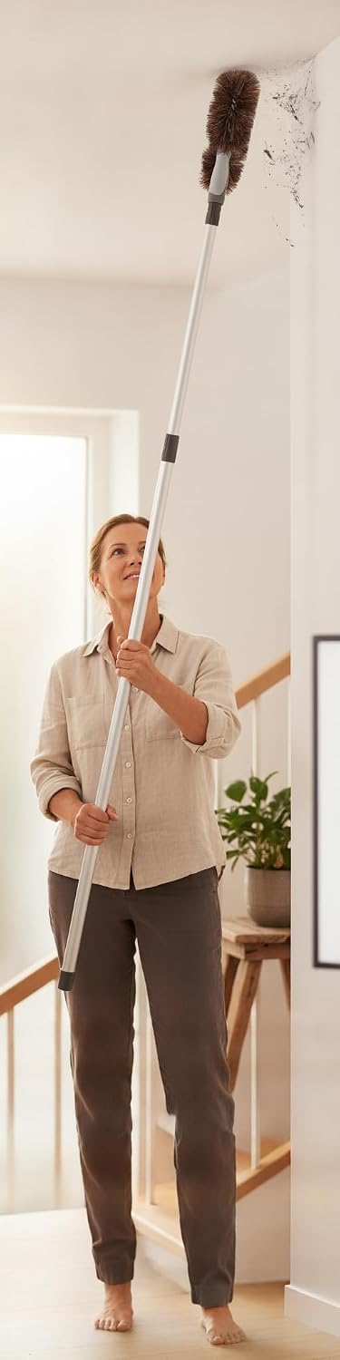 Wandbürste Spinnwebenbesen Spinnennetz/Spinnenweben entfernen Staubwedel