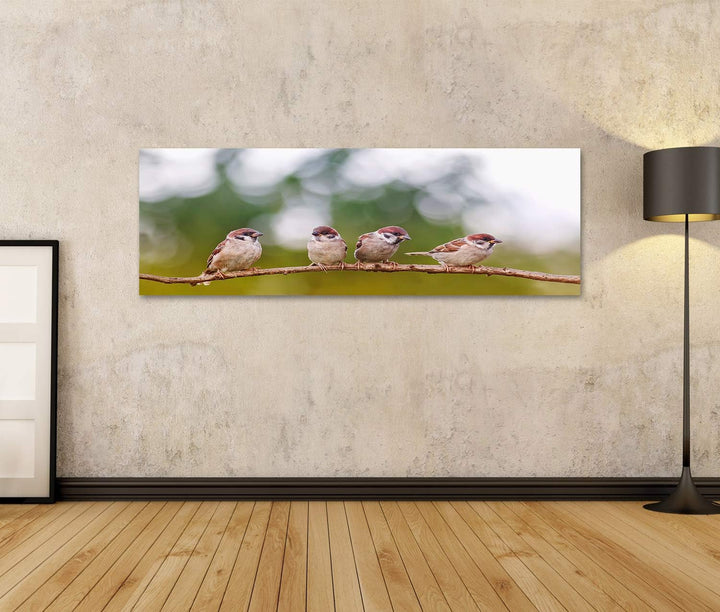 islandburner Bild auf Leinwand Lustige Spatzen Vögel Gruppe Frühling Bilder Wandbilder Poster Leinwa