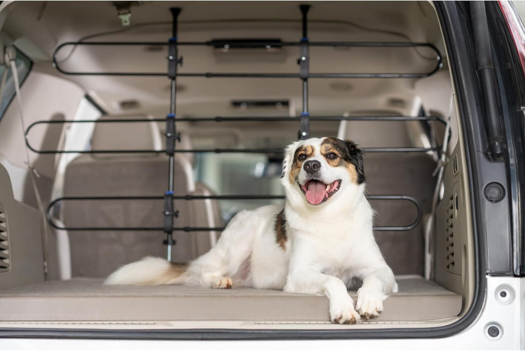 PetSafe Happy Ride Hundeschutzgitter aus Metall, Fixierung im Kofferraum, Für Autos und SUVs geeigne