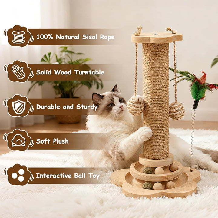 Kratzbaum Klein für Katzen, 25×50cm aus Natur-Sisal &amp; Holz, Interaktives Katzenspielzeug mit Hängend
