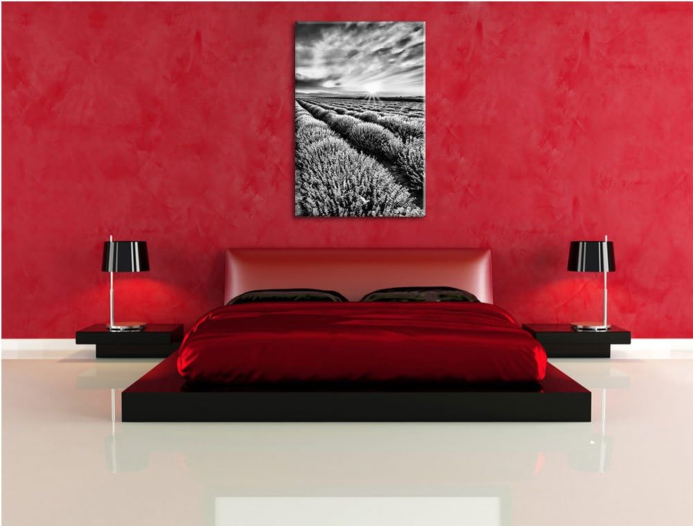 Pixxprint Traumhafte Lavendel Provence / 100x70cm Leinwandbild bespannt auf Holzrahmen/Wandbild Kuns