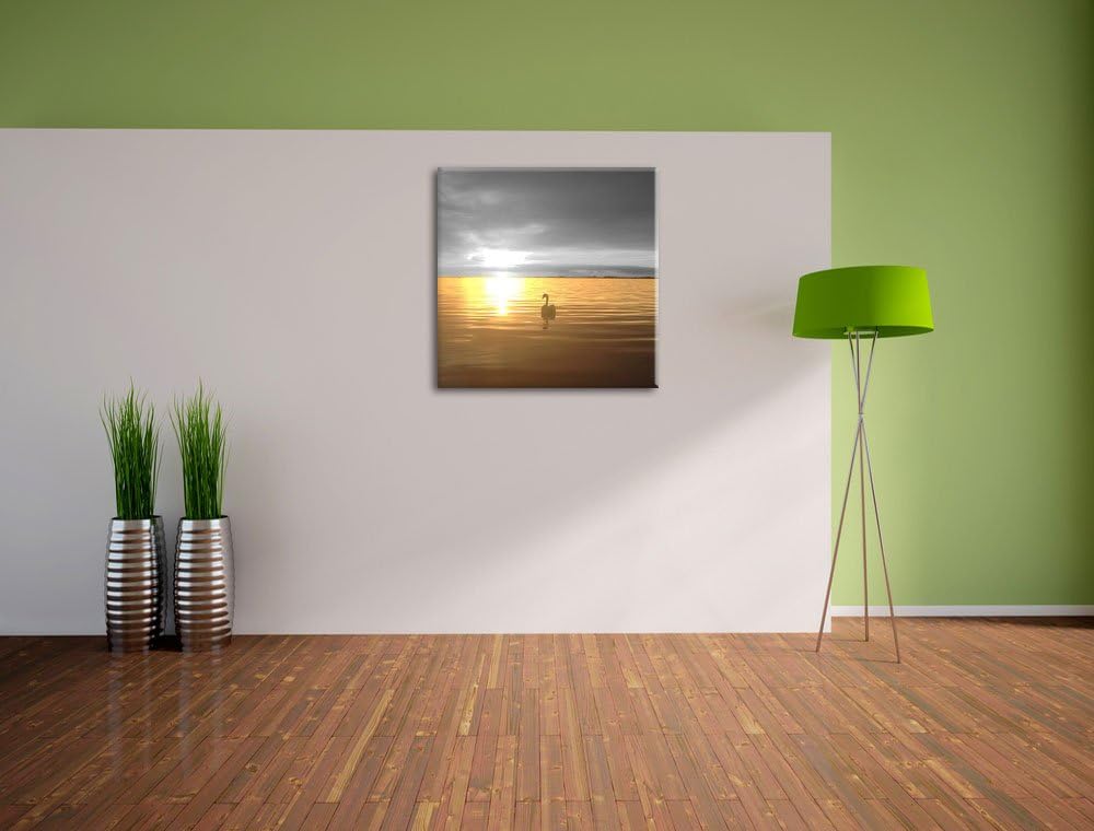 Pixxprint Einsamer Schwan auf See Schwarz/Weiss, Format: 70x70 auf Leinwand, 70x70