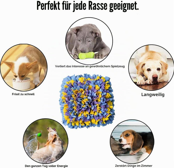 IEUUMLER Schnüffelteppich Hund Riechen Trainieren Schnüffeldecke Futtermatte Trainingsmatte für Haus