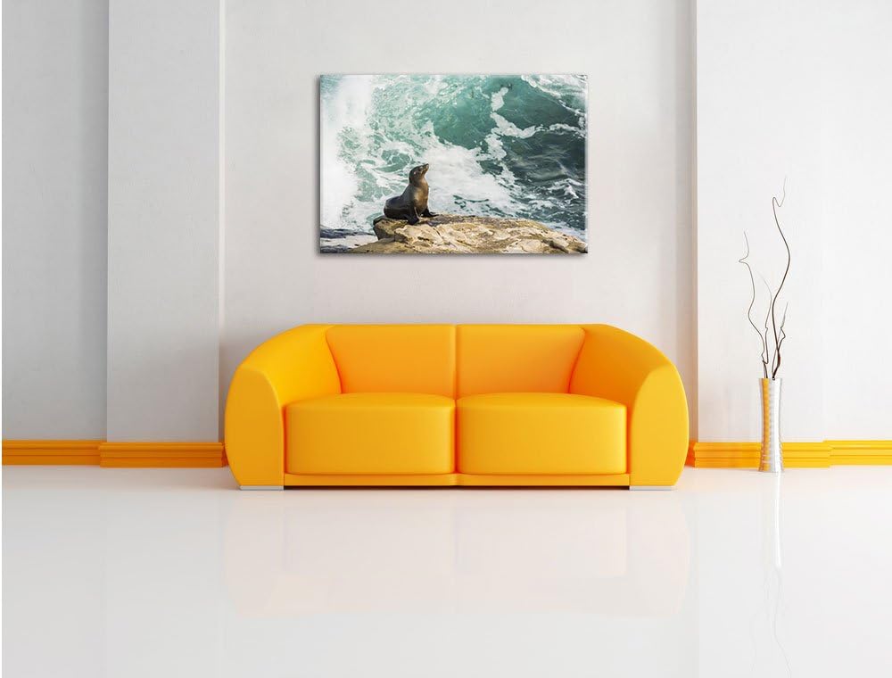 süsse Robbe sonnt sich, Format: 100x70 auf Leinwand, XXL riesige Bilder fertig gerahmt mit Keilrahme