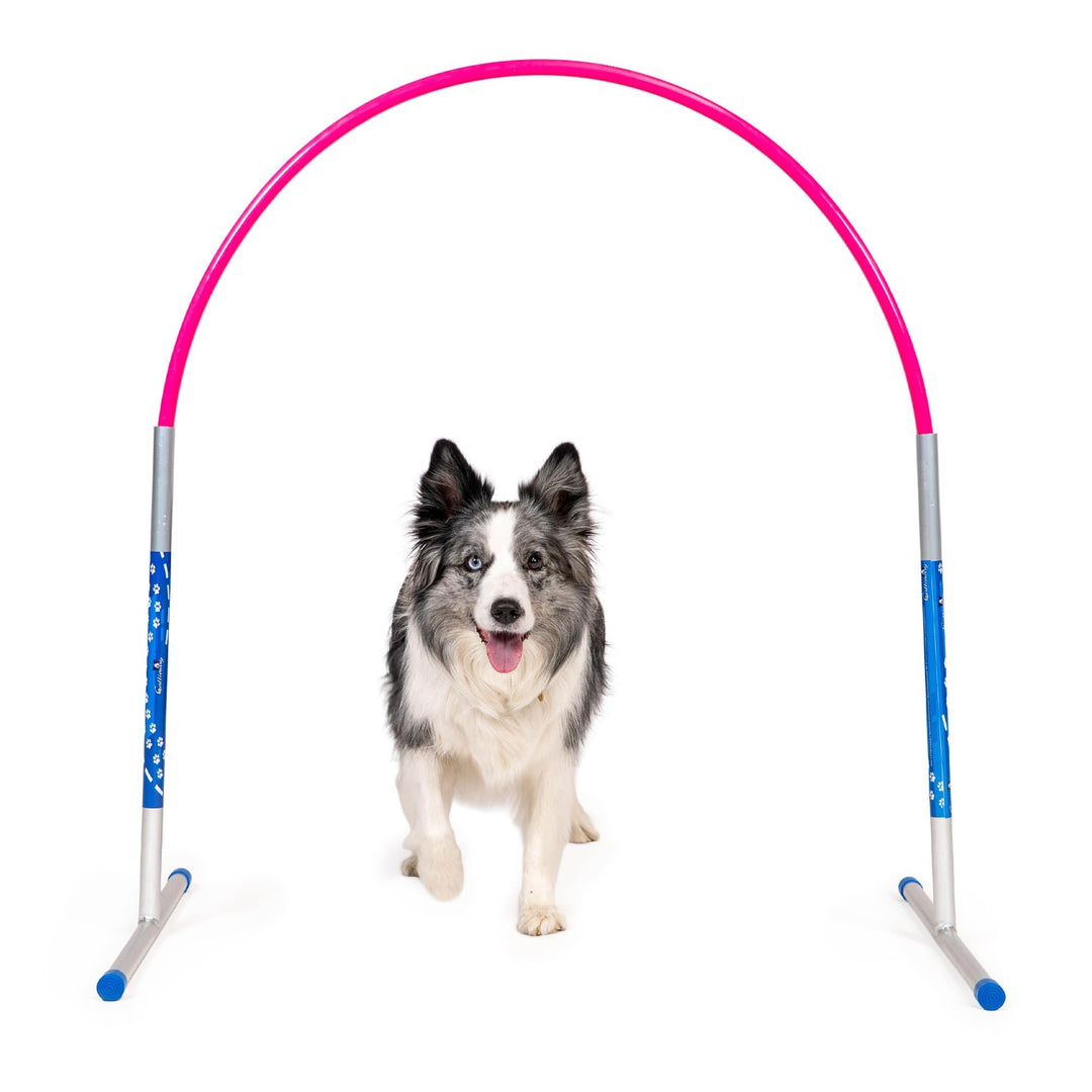 Hoopers Agility Hoops - NADAC Hoopers Agility Hoops ohne Mittelstrebe (Grosspackung) Pink, Pink