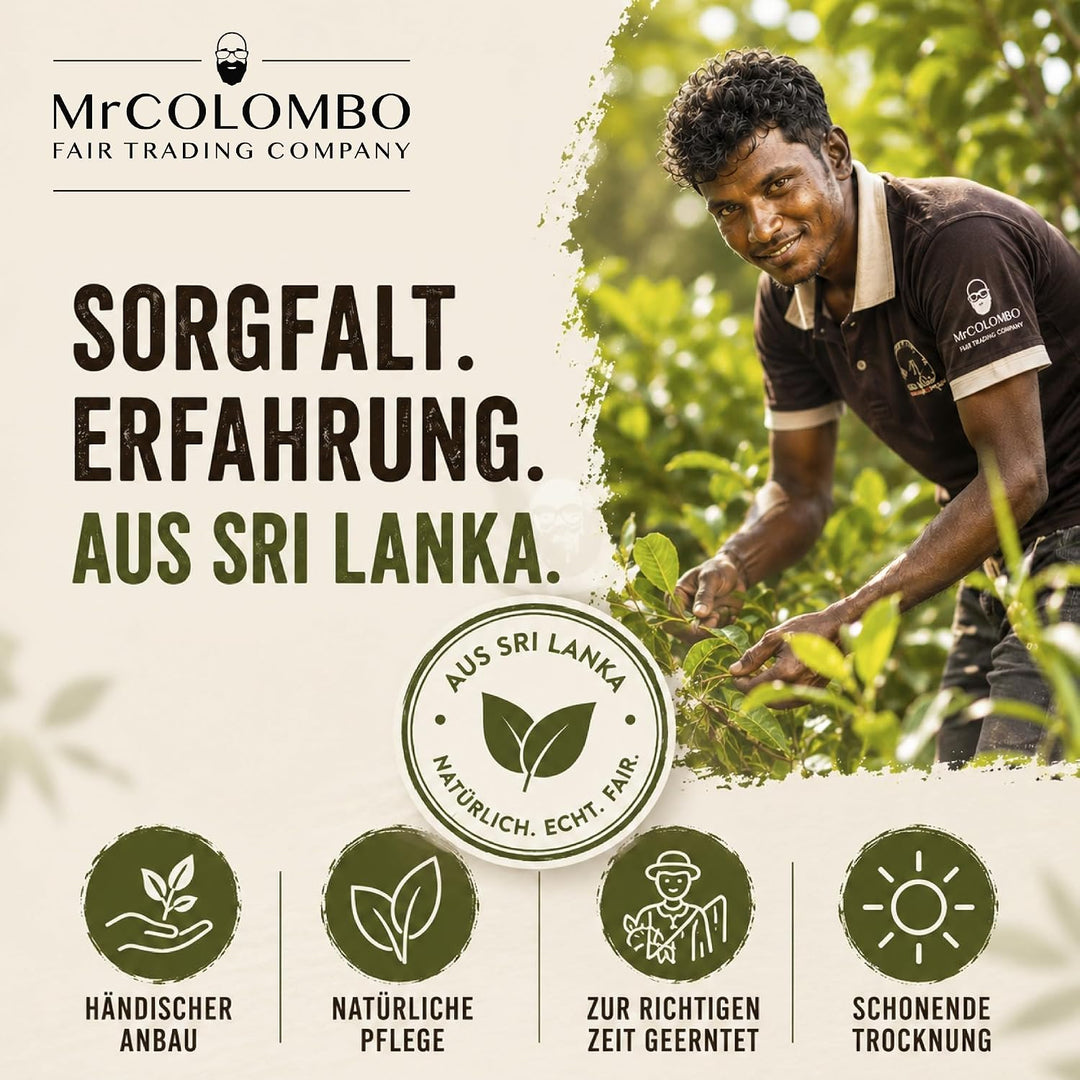 Ceylon Zimt Pulver 100g – C5 Premium Qualität, Direktimport aus Sri Lanka, Echter Zimt gemahlen, cum