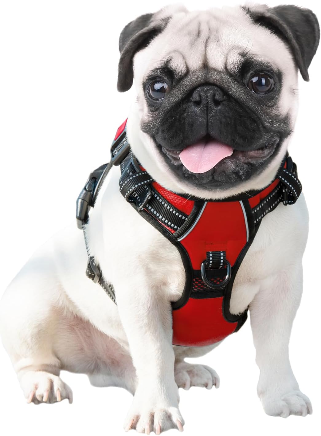 PHOEPET Hundegeschirr ohne Zug für kleine Hunde Reflektierende Weste mit verstellbarem Clip vorne mi