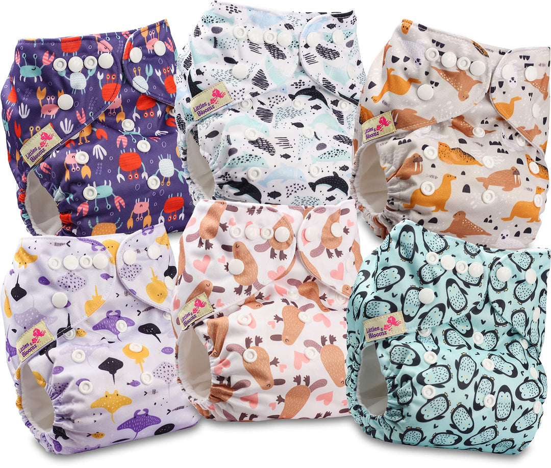 Littles and Bloomz FLP2-0601 Windel, wiederverwendbar, Standard-Popper, 6 Windeln 0601 6 Stück (1er