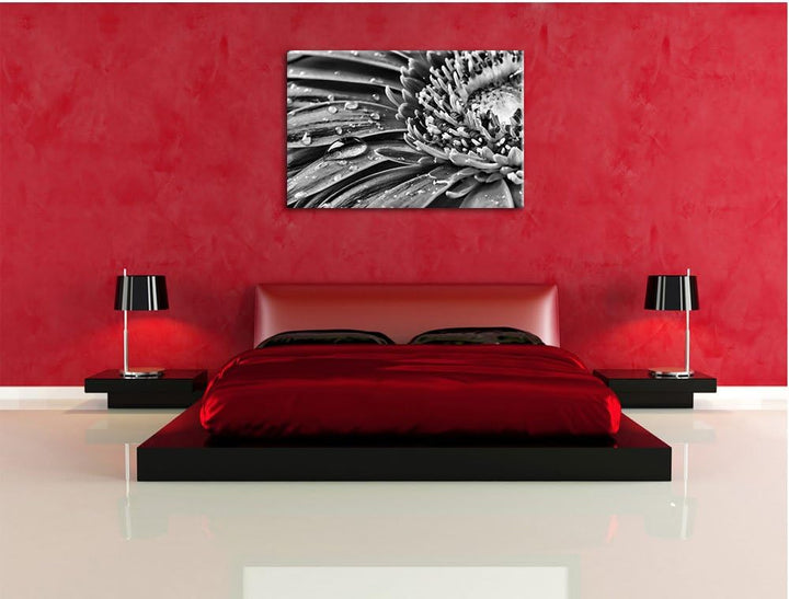 Pixxprint Gerbera mit Wassertropfen / 100x70cm Leinwandbild bespannt auf Holzrahmen/Wandbild Kunstdr