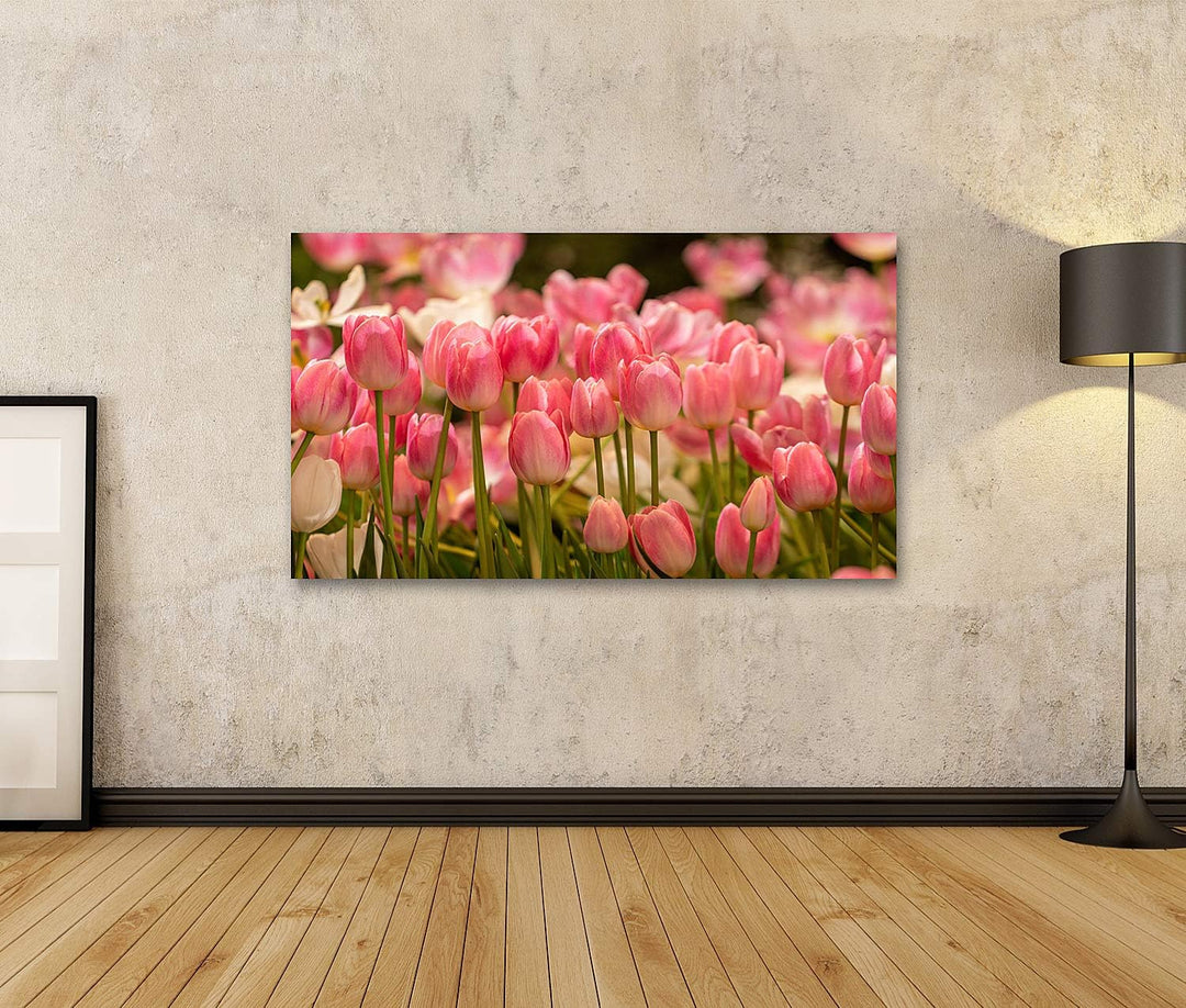 islandburner Bild auf Leinwand Rosa Tulpen Feld Bilder Wandbilder Poster 80L x 40B cm, 80L x 40B cm