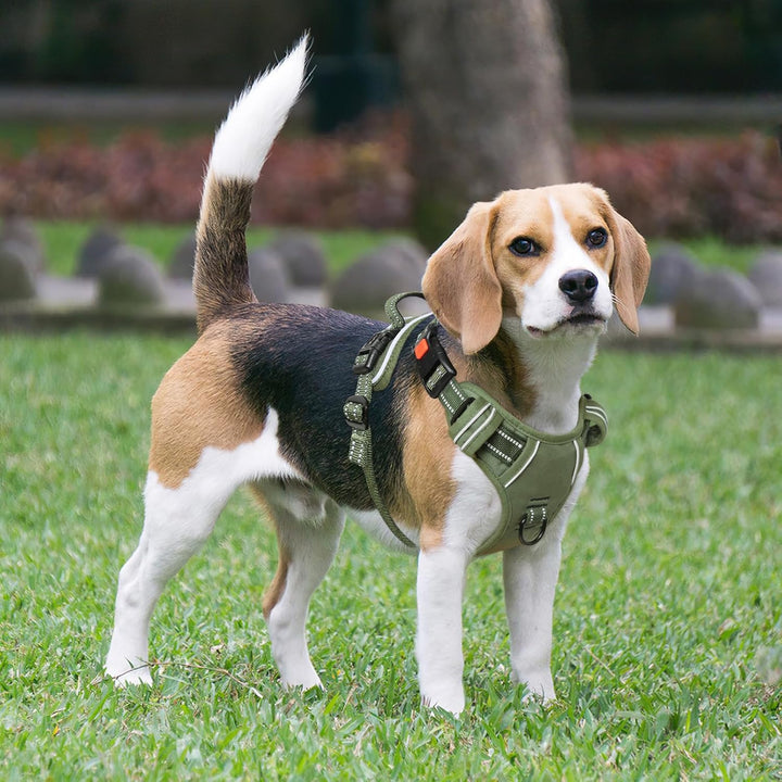 HEELE Hundegeschirr, Brustgeschirre für Hunde, Laufgeschirre Hund mit abschliessbarem Schnappverschl