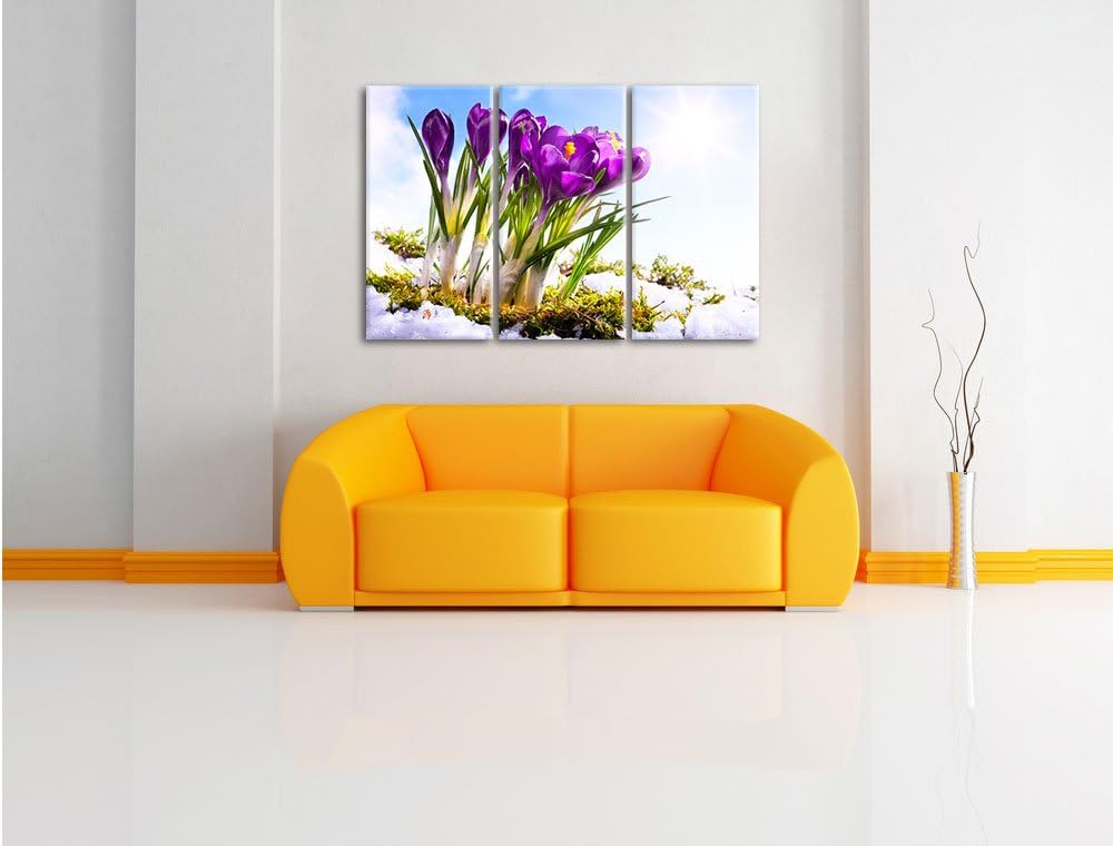 Pixxprint Kunst Frühling Flower Hintergrund / 3-Teilig/Gesamtmass 120cm Leinwandbild bespannt auf Ho