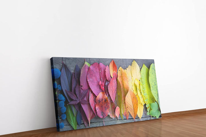 Paul Sinus Leinwandbild 120x60cm Herbstblätter Blätter Herbst Fotokunst schöne Farben Natur