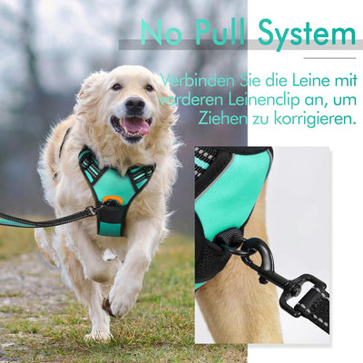 rabbitgoo Hundegeschirr Mittelgrosse Hunde Anti Zug Geschirr Hund mit Kontrolle No Pull Verstellbar