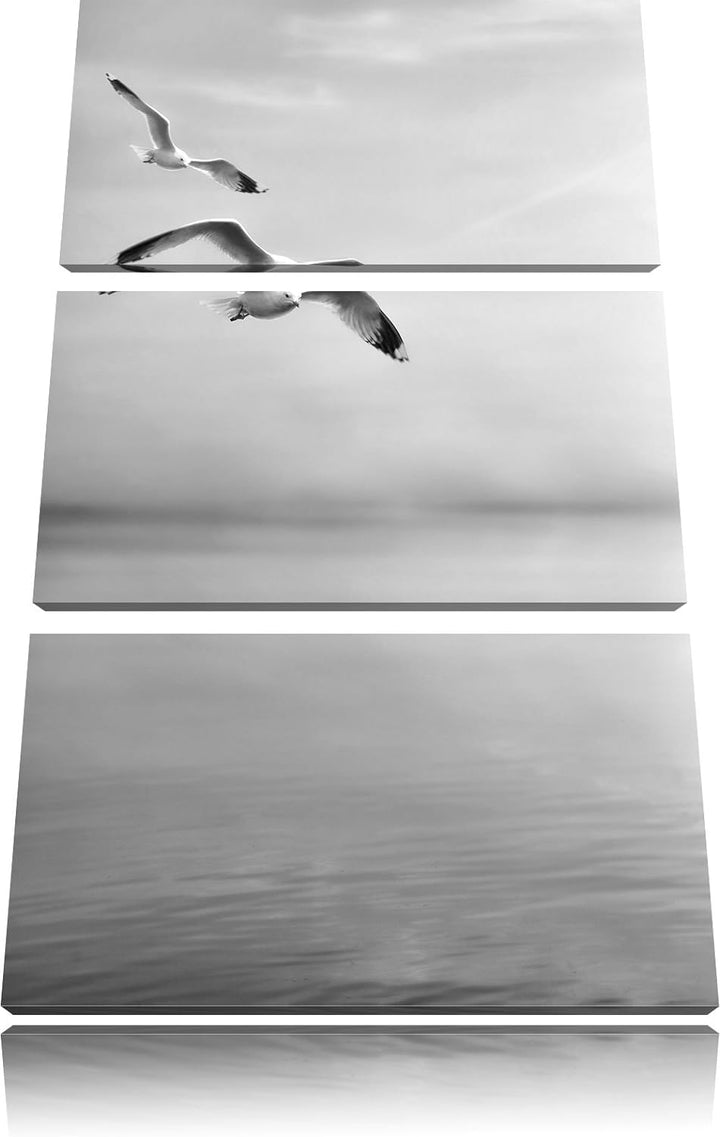 Pixxprint Möwen am Meer bei Sonnenaufgang als Leinwandbild/Grösse: 3 Teilig (120x80) cm/Wandbild/Kun