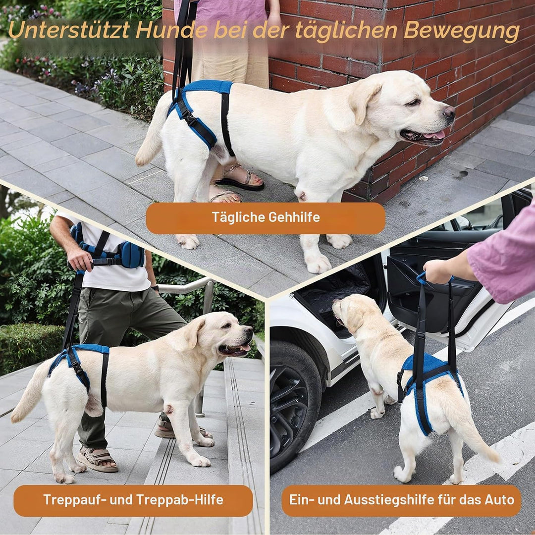 Tragehilfe Hund Hinterbeine Mit Griff, Einstellbar Unterstützung Geschirr zum Bewegen von Hunden, Ge