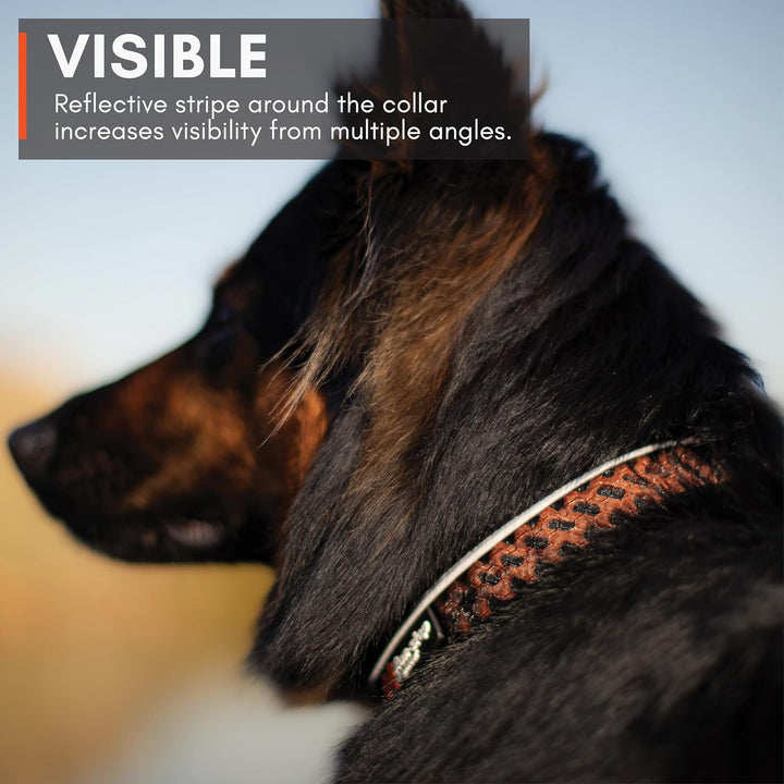 Non-stop dogwear Rock Collar Adjustable |3446| Verstellbares Funktionshalsband, Grösse:XL