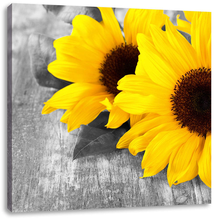 Pixxprint schöne Sonnenblumen auf Holztisch schwarz/weiss, Format: 70x70 auf Leinwand, 70x70