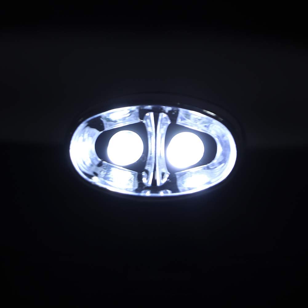 Fdit Headhand Lupenbrille mit LED-Licht Honey Bee Lupe Brille Lupe Spiegelglas Imkerei Lupe MEHRWEG
