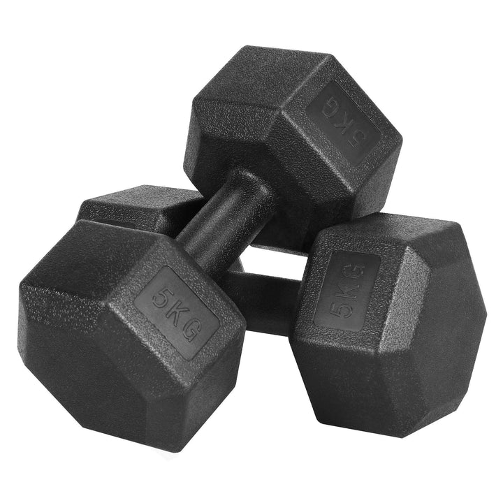 Yaheetech 2 Stück Hantel Set 4/5/6/7,5/8/10 Kg Kurzhanteln Gusseisen Hexagon Hanteln Gewichte Traini
