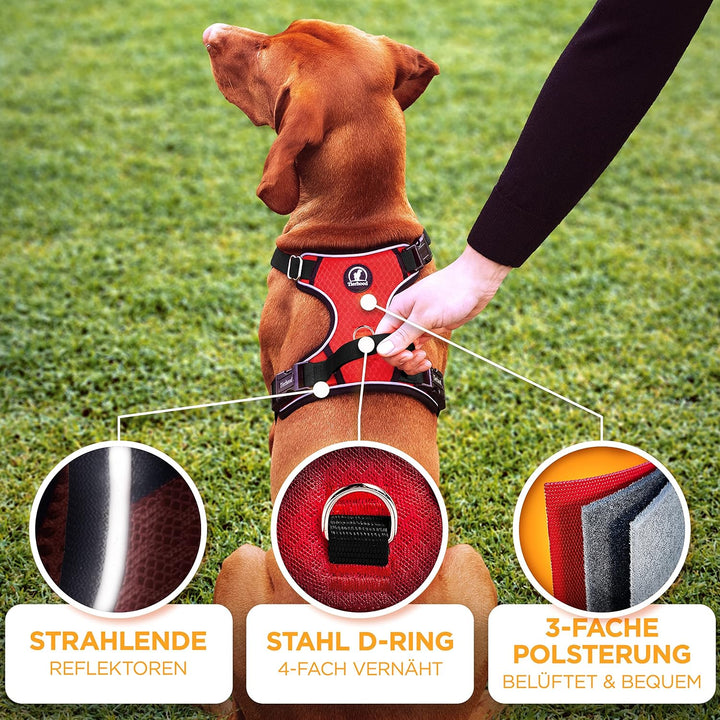 Hundegeschirr - Reflektierendes Hundegeschirr für kleine bis grosse Hunde - Anti Zug Hundegeschirr g