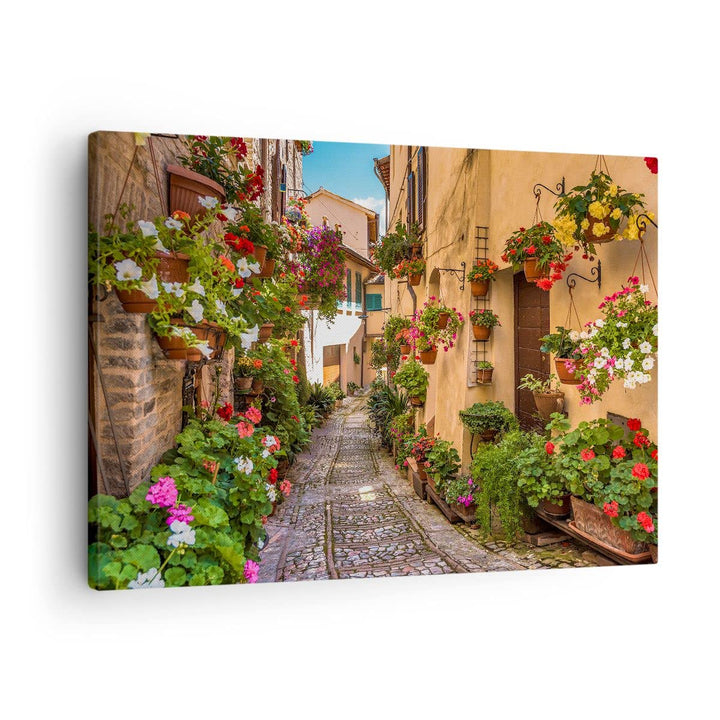 Bilder auf Leinwand Path Blumen Haus Hof Leinwandbild mit Rahmen 70x50cm Wandbilder Dekoration Wohnz
