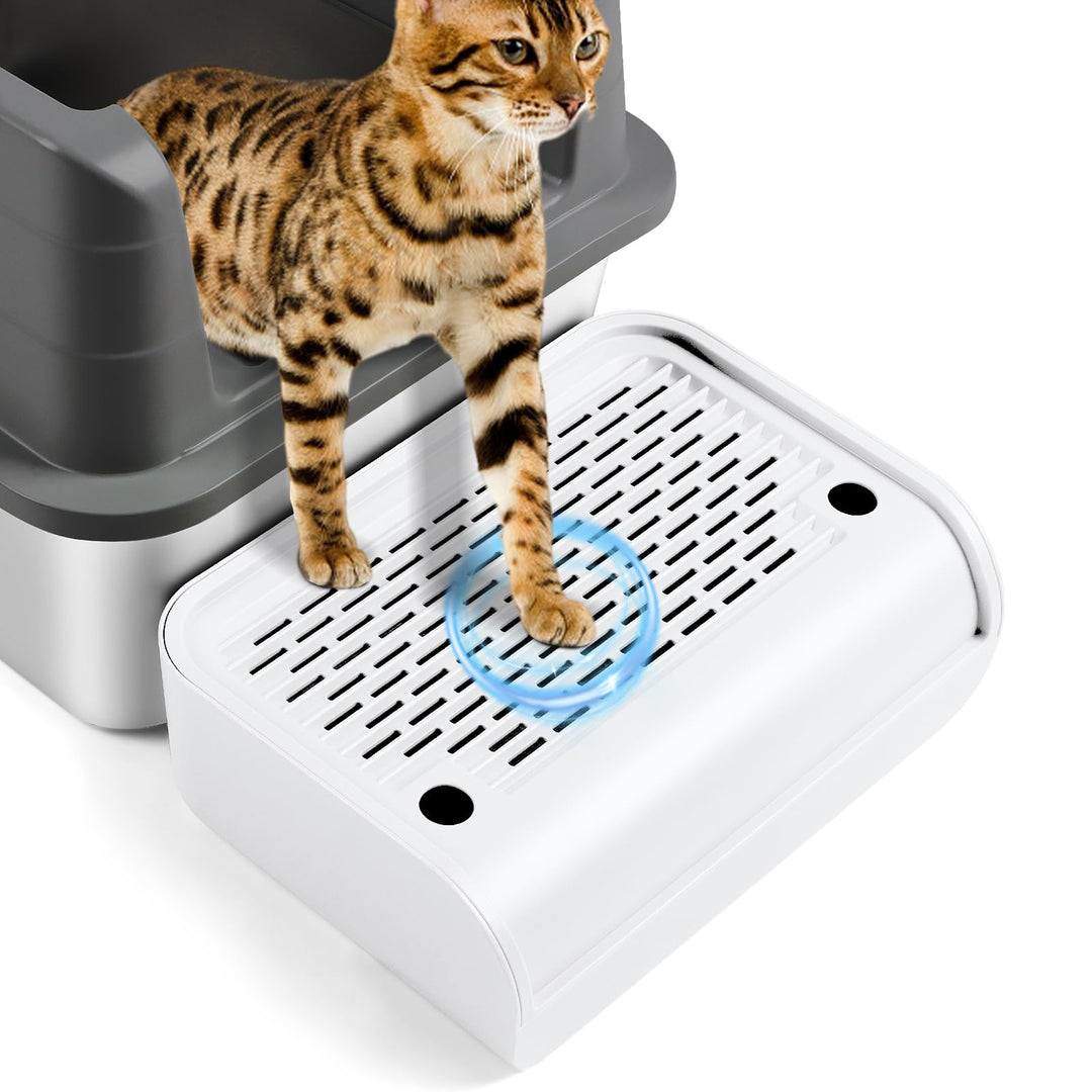 Katzentoilette, Katzenrampe/Treppe/Katzenfänger mit Filterfunktion, leicht zu reinigen, Filterpedal