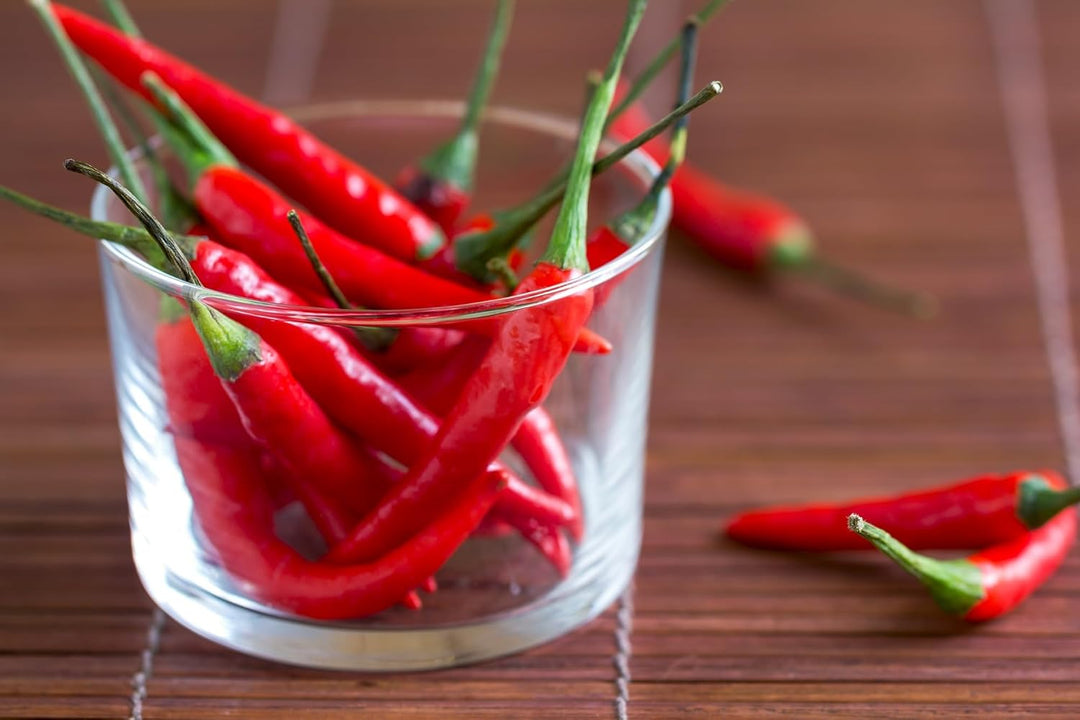 Tasty Pott Bio Birds Eye Chilis ganz und getrocknet 150 Gramm | Chilischoten | Grillen & Kochen | Wü