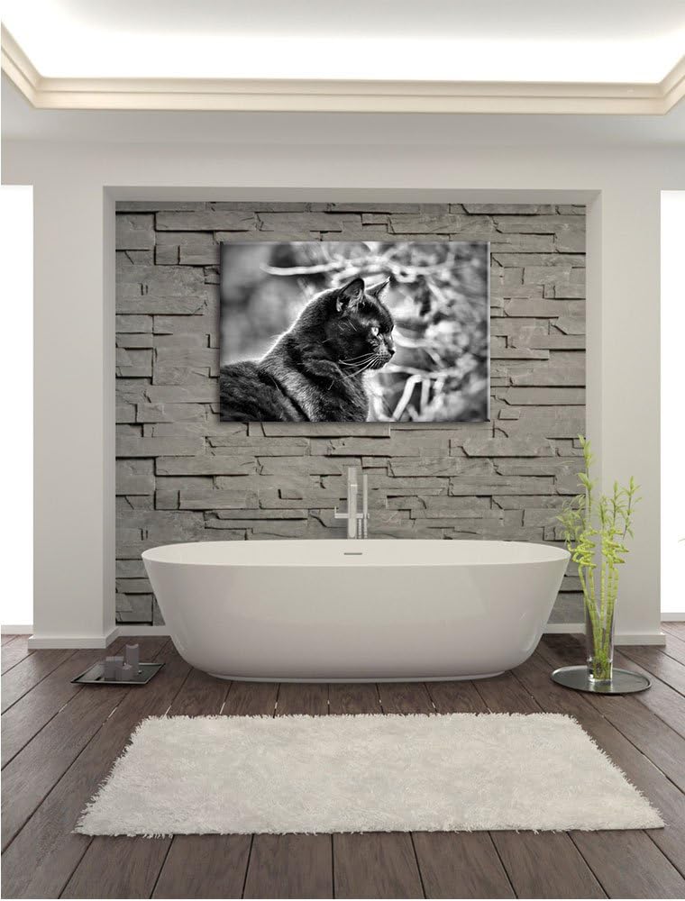 Monocrome, schwarze Katze, Format: 100x70 auf Leinwand, XXL riesige Bilder fertig gerahmt mit Keilra