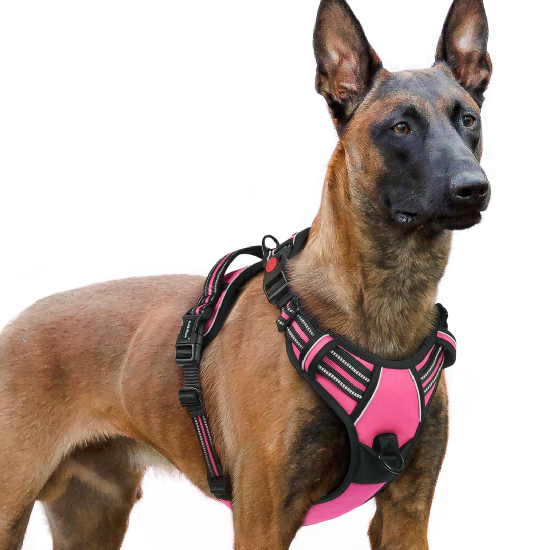 rabbitgoo Hundegeschirr Grosse Hunde, Verstellbare Geschirr Hund ohne Zug &amp; Würgen, Anti Zug hundege