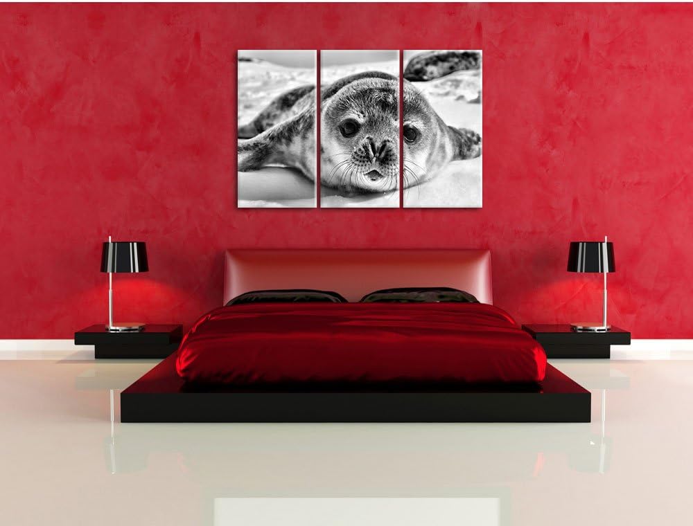 Pixxprint Monocrome, Süsses Robben Baby 3-Teiler Leinwandbild 120x80 Bild auf Leinwand
