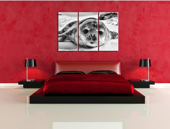Pixxprint Monocrome, Süsses Robben Baby 3-Teiler Leinwandbild 120x80 Bild auf Leinwand