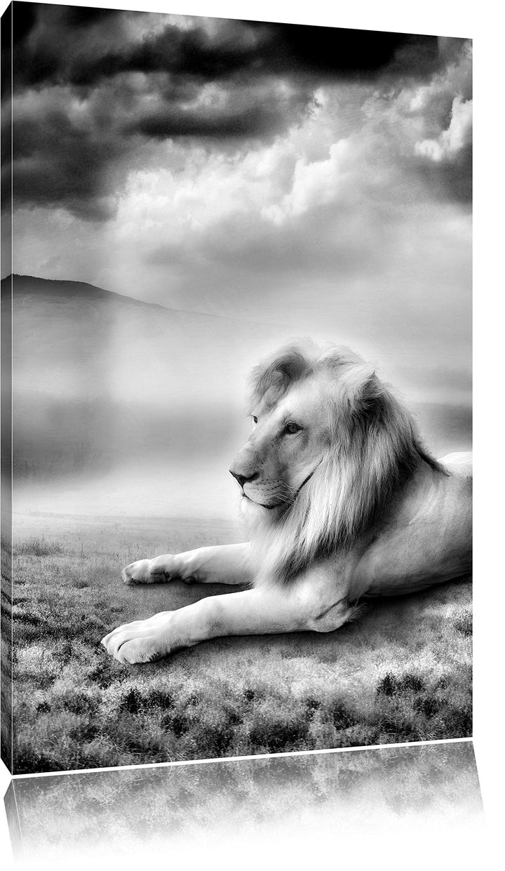 Pixxprint Monocrome, Stolzer weisser Löwenkönig, Format: 100x70 auf Leinwand, riesige Bilder fertig