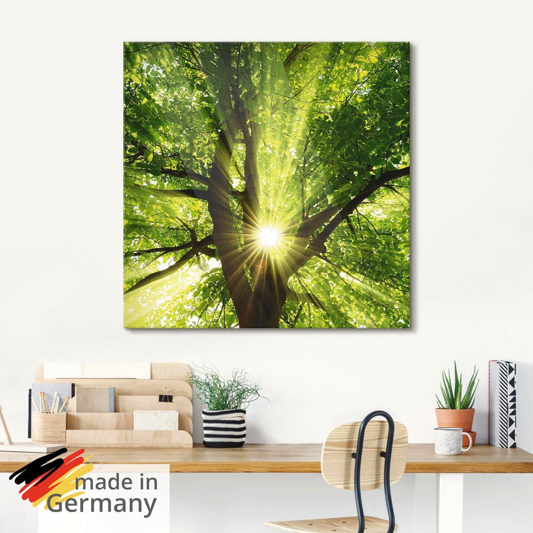 Glasbilder Wandbild Glas Bild einteilig 50x50 cm Quadratisch Wald Natur Botanik Bäume Laubbaum Sonne