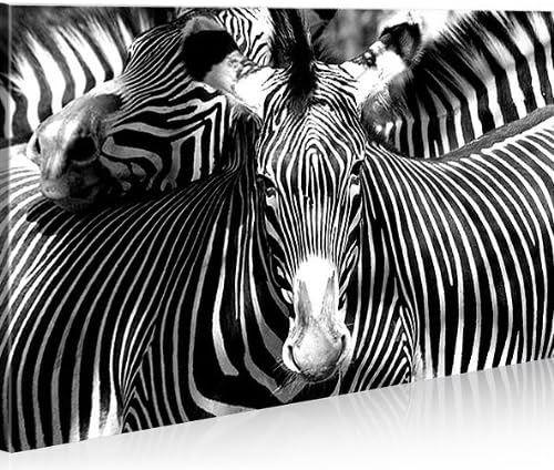 islandburner Bild Bilder auf Leinwand Zebra Zebras 1p XXL Poster Leinwandbild Wandbild Dekoartikel W