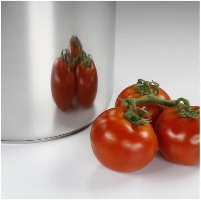 Baumalu 342653 Kochtopf, mit Deckel, 11 l, 26 cm Durchmesser, Aluminium, Silber Diamètre : 26 cm, Di