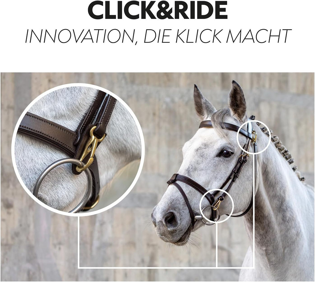 SUNRIDE englisch kombinierte Trense Berlin mit Zügel, aus weichem Echtleder mit Clip-Verschluss, ver