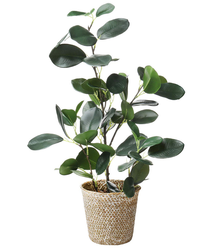 SAROSORA Künstlicher Ficus-Baum, künstliche Pflanzen in gewebtem Topf, 50,8 cm Höhe, für Wohnzimmer,