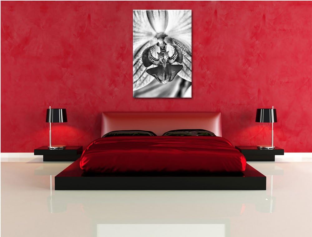 Pixxprint Monocrome, schöne Orchidee, Format: 100x70 auf Leinwand, 100x70