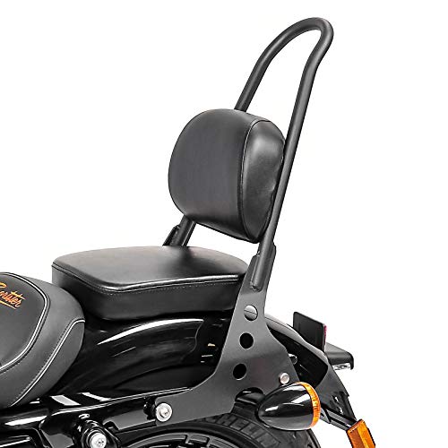 Sissy Bar abnehmbar Craftride für Harley Davidson Sportster 04-20