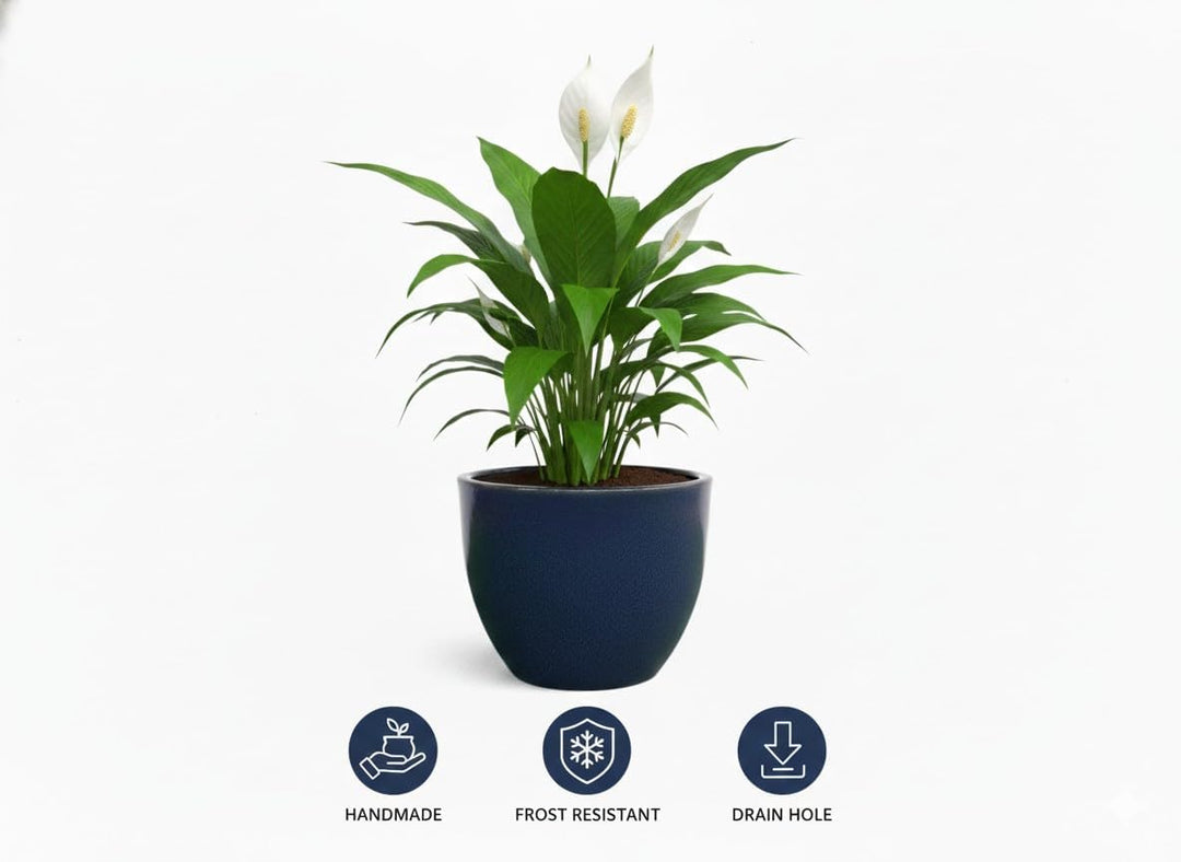 Teramico Pflanzgefäss Übertopf Blumentopf aus Steinzeug Blau Weiss Anthrazit Schwarz 23cm - 37cm FRO