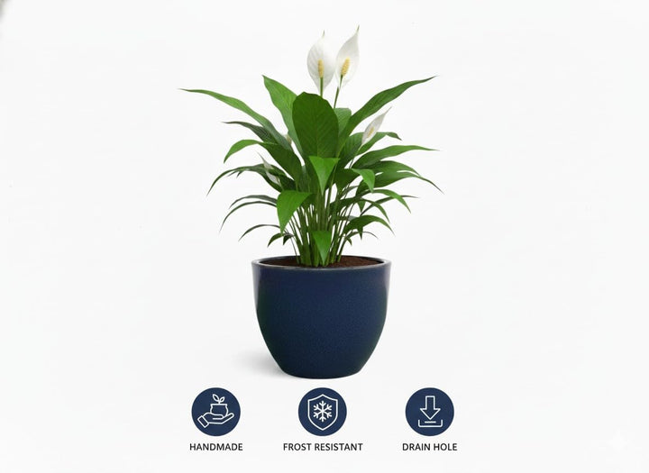 Teramico Pflanzgefäss Übertopf Blumentopf aus Steinzeug Blau Weiss Anthrazit Schwarz 23cm - 37cm FRO