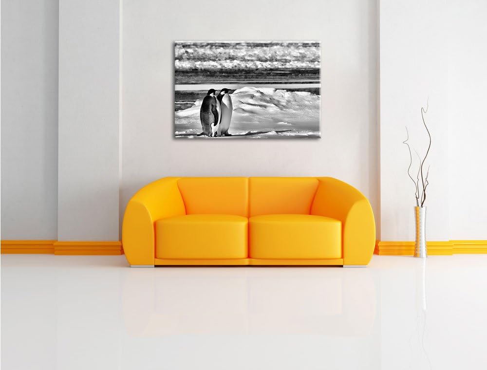Pixxprint Monocrome, Zwei Kaiserpinguine auf Eisscholle, Format: 100x70 auf Leinwand, 100x70