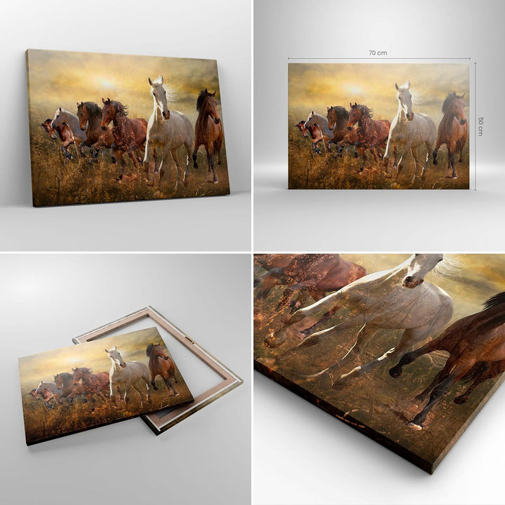 Bilder auf Leinwand Pferd Tier Natur Leinwandbild mit Rahmen 70x50cm Wandbilder Dekoration Wohnzimme