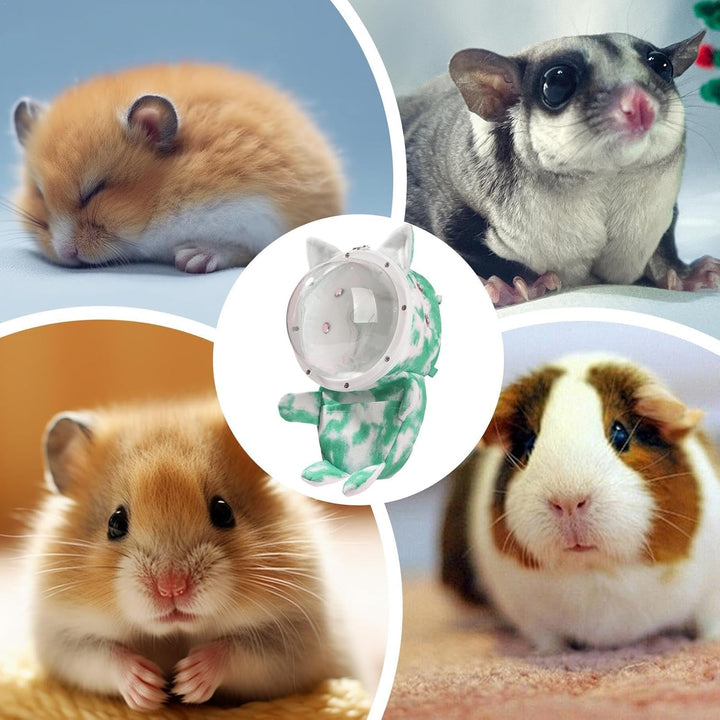 Hamsterträger, Meerschweinchenträger | Transparente Hamstertasche mit Fenster,Sugar Glider-Beutel, I