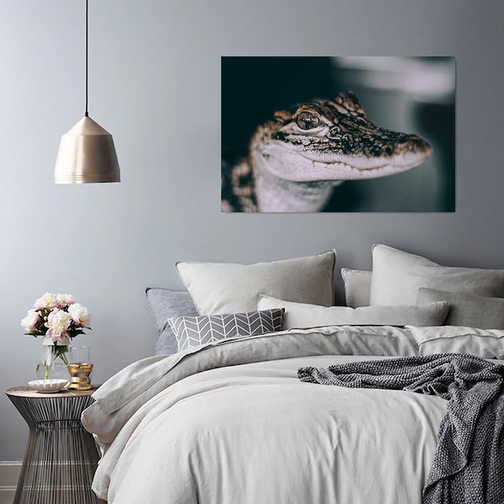 Feeby. Wandbild - 1 Teilig - 70x100 cm, Leinwand Bild Leinwandbilder Bilder Wandbilder Kunstdruck, K