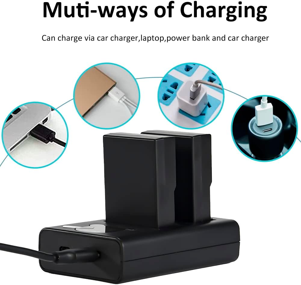 DSTE EN-EL9A EN-EL9 Ersatzakku (2er Pack) und Smart LED Dual USB-Ladegerät Kompatibel mit Nikon D40