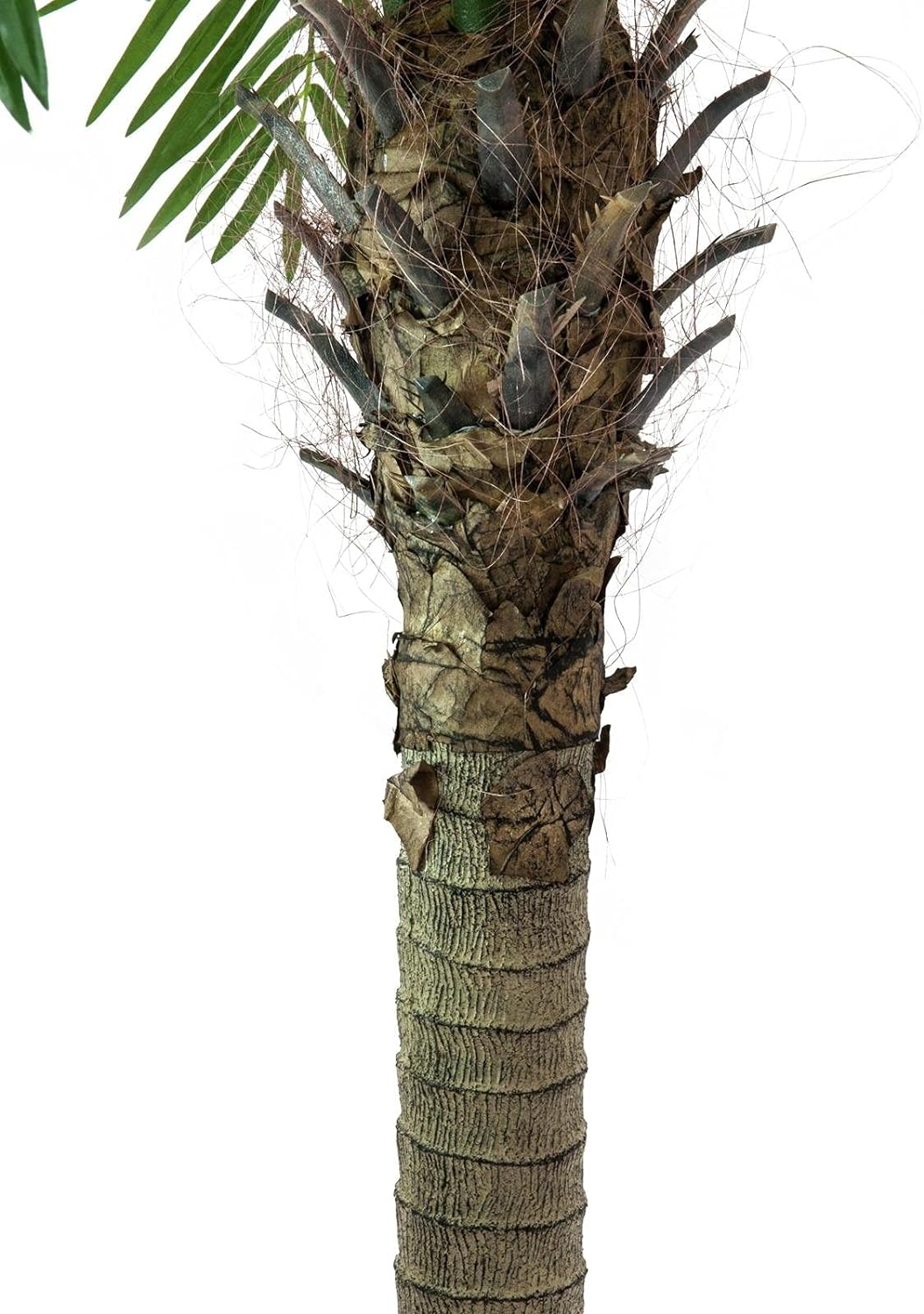 EUROPALMS Phönixpalme Luxor, Kunstpflanze, 240cm | Phönixpalme mit imposantem Blattwerk