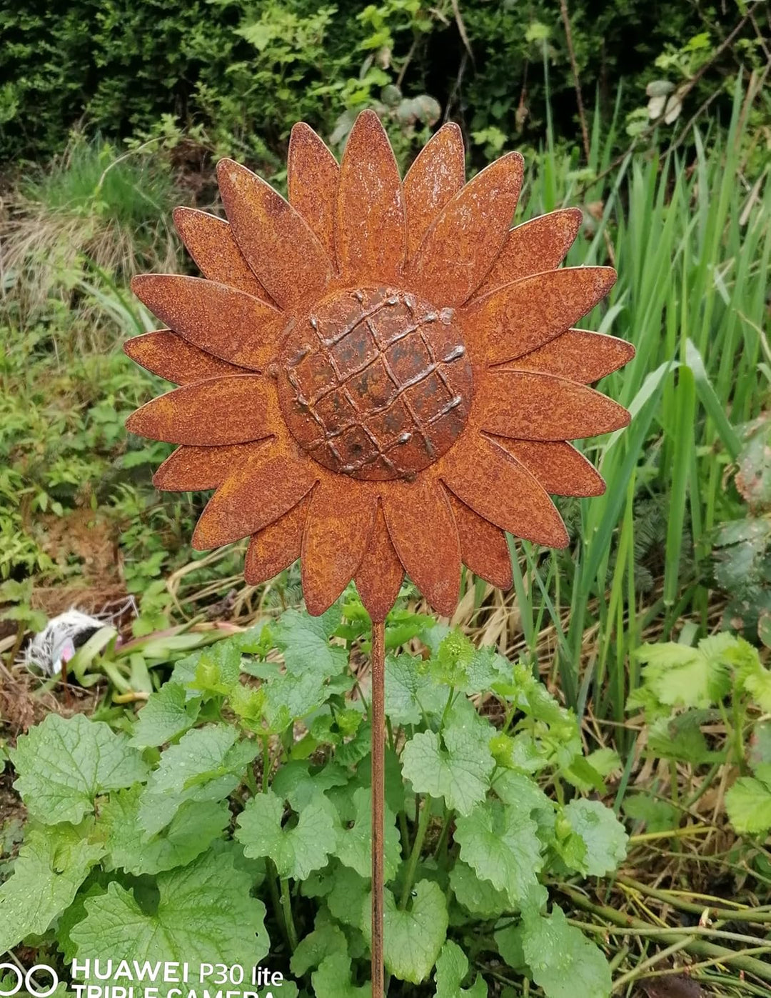 NEU !! Gartenstecker Sonnenblume 80 cm lang aus Metall in Edelrost Rost Dekoration Volleisen Rankhil